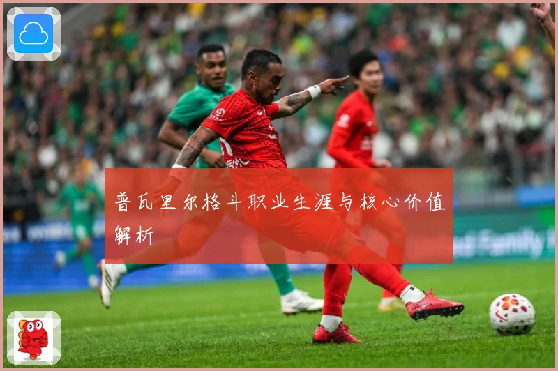 普瓦里尔格斗职业生涯与核心价值解析