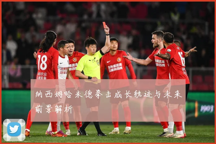 纳西姆哈米德拳击成长轨迹与未来前景解析