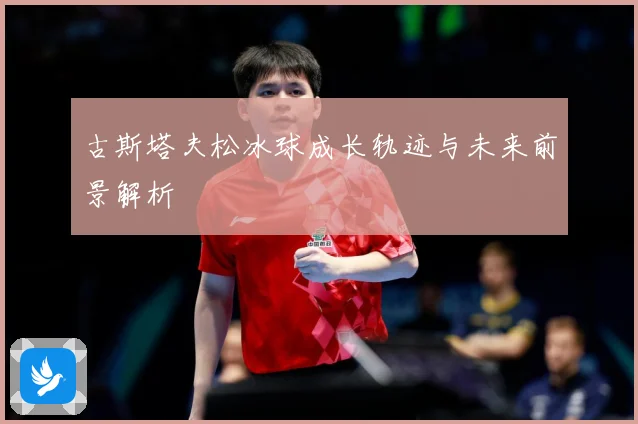古斯塔夫松冰球成长轨迹与未来前景解析