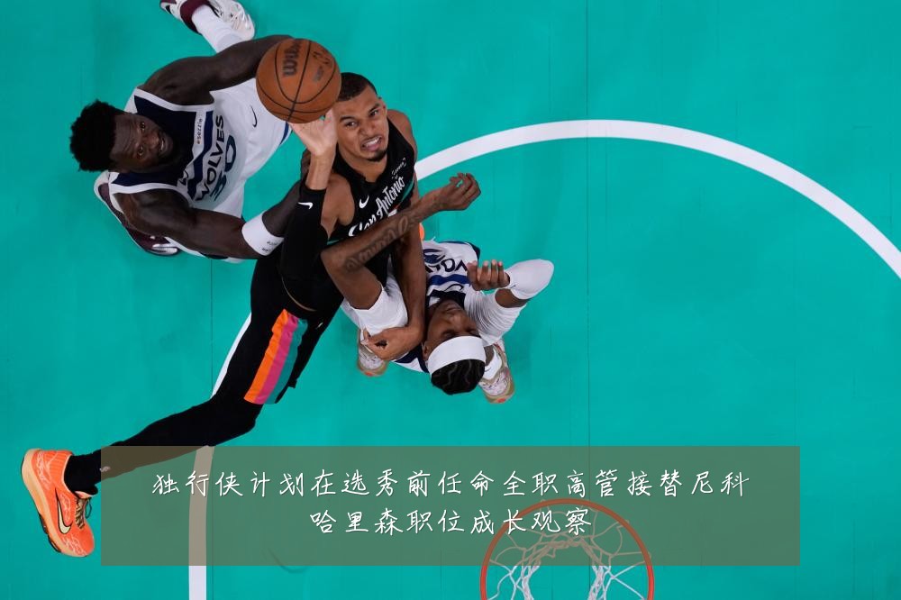 独行侠计划在选秀前任命全职高管接替尼科哈里森职位成长观察