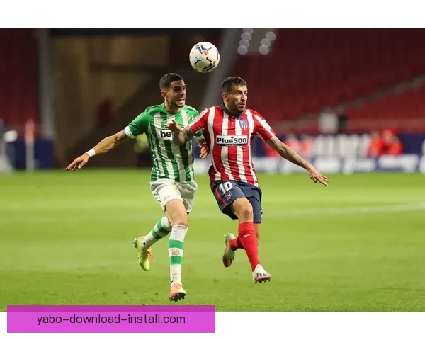 体育竞猜投注策略全面解析助你精准预测赛事结果提升盈利技巧